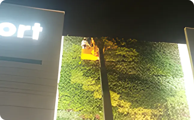 壁面緑地管理