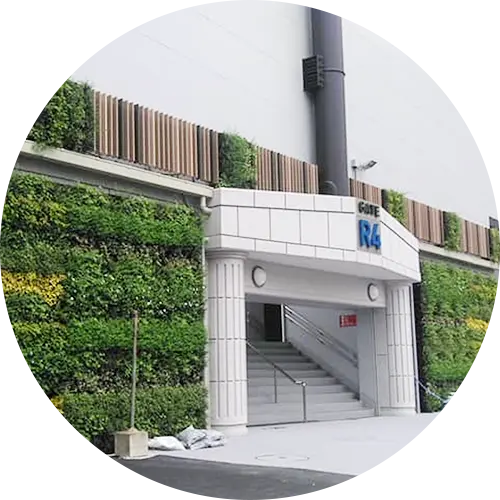 壁面緑地管理